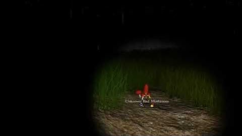 Prototipe Unity5 - Cemetery - Eating Mushrooms in the graveyard