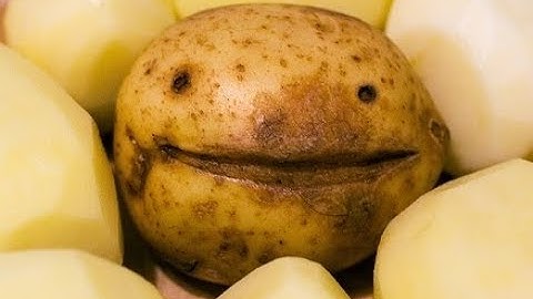 sas 4 (acc give away)