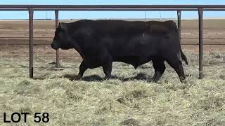 LOT 58