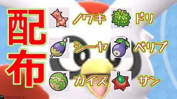 スターのみ サンのみ 連れ歩き きのみ 厳選 500歩でも入手可能 リセマラ方法解説 ポケモンbdsp 検証編 Mp3