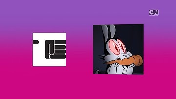 Cartoon Network GAS - Bunnicula - Next Bumper (Check it 4.0)