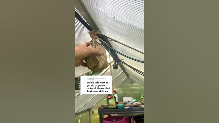 Life hack! Keep bees away!! #diyinspiration #diy #lifeadvice #lifehacks #howto #fypシ #fyp