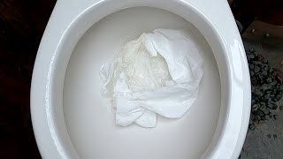 2012 Gerber Maxwell Vs. 25 feet of Charmin toilet paper