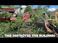Tree destroys this shop | almost a total loss