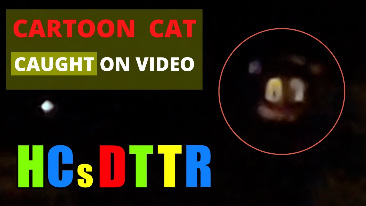 Cartoon Cat caught on video YouTube