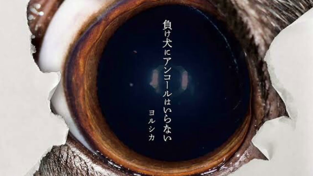メドレー】アルバム『負け犬にアンコールはいらない』-ヨルシカ【作業