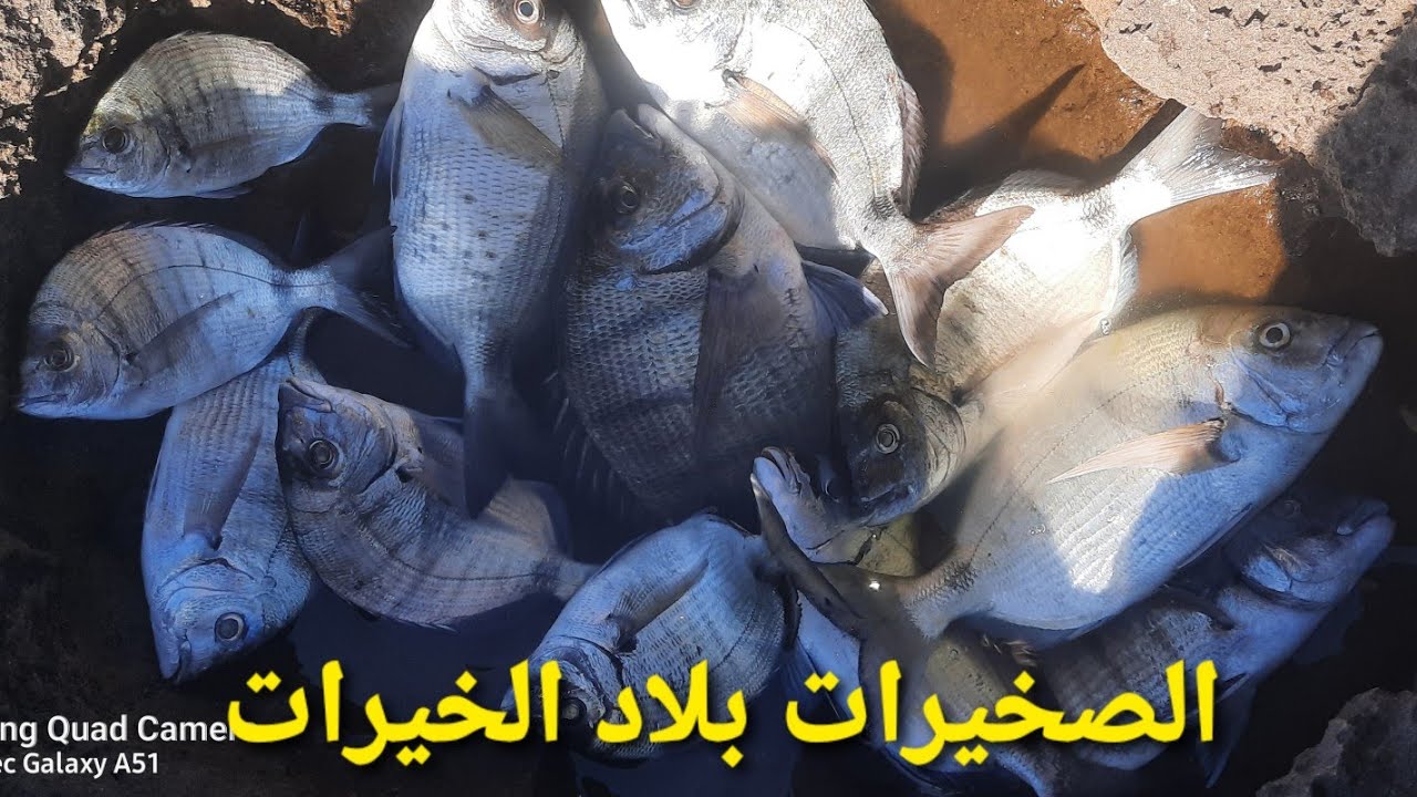 الجزء الأول من رحلة الصيد للصخيرات