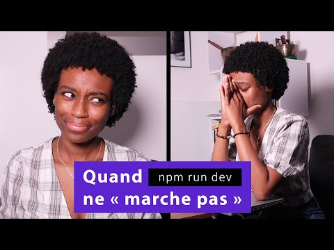 Quand npm run dev ne "marche pas"