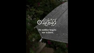 سورة الإخلاص 💚🌹✅