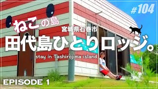 【田代島 EP1】ロッジ泊のあれこれとスローな島時間をお届けするよ猫たちの朝食the cat island TASHIROJIMA