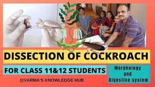 COCKROACH DISSECTION || FOR NEET AND IPE || COCKROACH ANATOMY & DISGESTIVE SYSTEM (DISSECTION)
