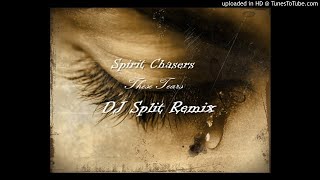 Spiritchaser  These Tears dj Split Amapiano Remix 2020