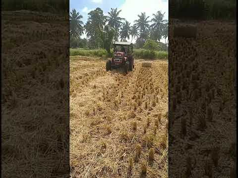 Mahindra Yuvo 575