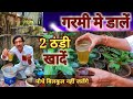 गरमी में  डालें 2 ठंडी खादें , आपके पौधे बिलकुल हरे भरे रहेंगे / Summer Fertilizer for your Plants