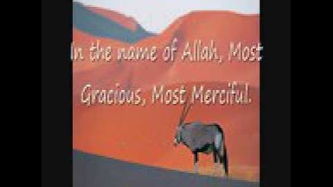 سورة الماعون -لافي العوني