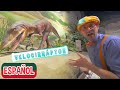 Blippi Español Visita el Pacific Science Center | Aprende sobre dinosaurios | Museo para Niños