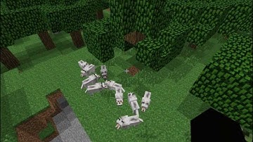 Minecraft Bugs (1.4.5) - Spawning under a Tree glitch