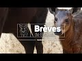 Brves de beauval  lmission 100 immersion   saison 2 ep 6