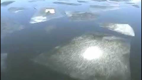 Vi åker till Ishavet [josephzohn, 2005 Re-upload]