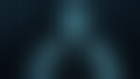 Kim Dotcom - Mr President