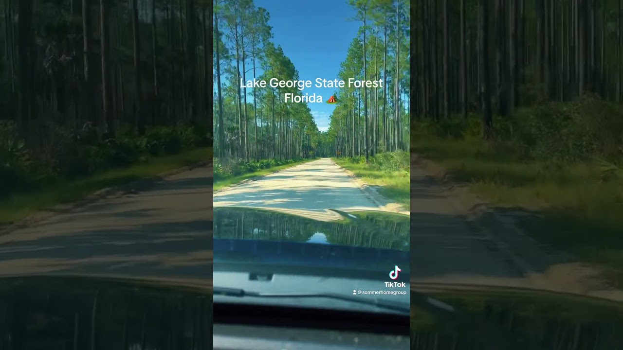 Lake George State Forest, Florida 