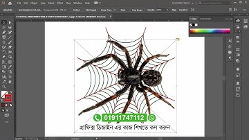 Spider - Graphic Design full course Bangla Tutorial - গ্রাফিক্স ডিজাইন বাংলা টিউটোরিয়াল