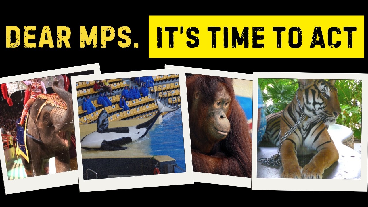 Dear MPs, it's time to act.