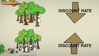 Cost-Benefit Discounting
