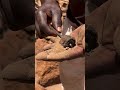 "Dari Mana Suku Mendapatkan Besi untuk Anak Panah Mereka? 🤔🏹 #shorts #viralvideo #shortvideo