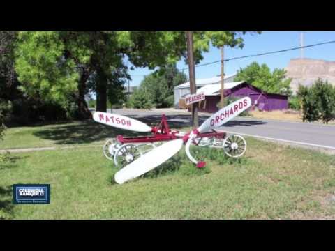 3683 F Road, Palisade, CO home video tour