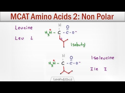 ቪዲዮ: MCAT ልምምድ አለ?