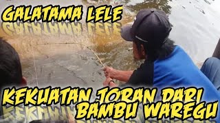 Kekuatan joran dari Bambu Waregu untuk galatama lele/#galatamalele