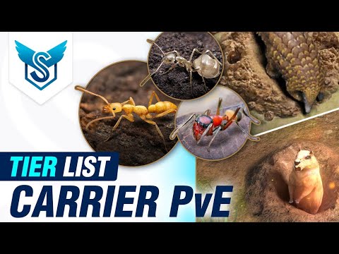 Видео: PvE-уровневый список авианосцев для сурка и панголина — The Ants Underground Kingdom [EN]