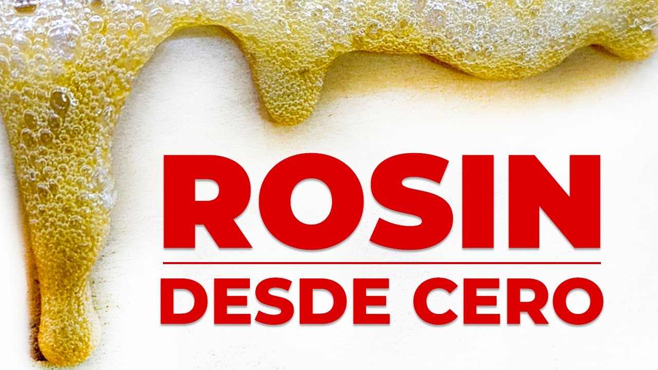 TUTORIAL 🍯 Extracción de ROSIN con PRENSA