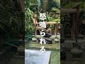 韓国のバスで怒鳴られている人がいた #韓国旅行 #韓国 #shorts