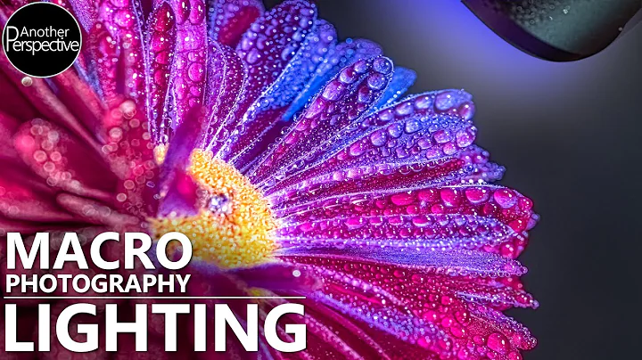 Creative Macro Photography Lighting using Adaptalux