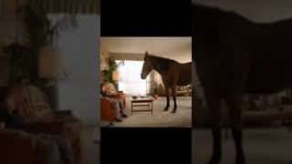 horse meme #shorts