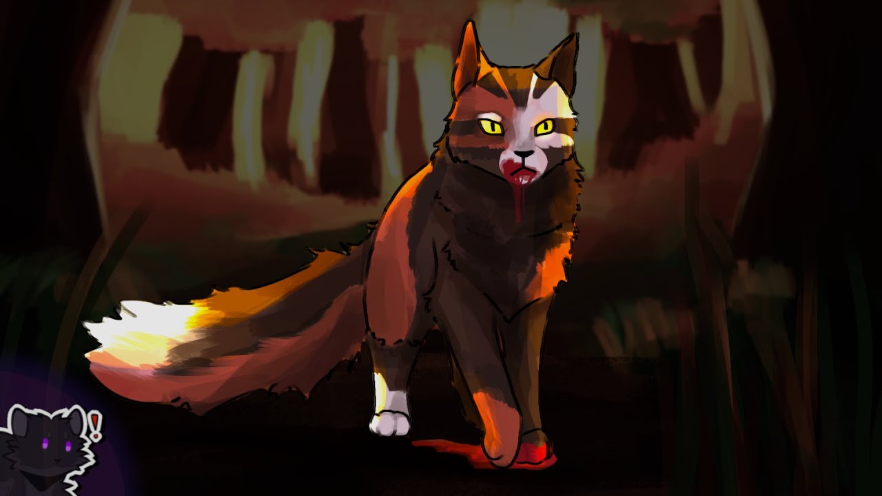 Ahornschattens Geschichte (Zusammenfassung) | Warrior Cats