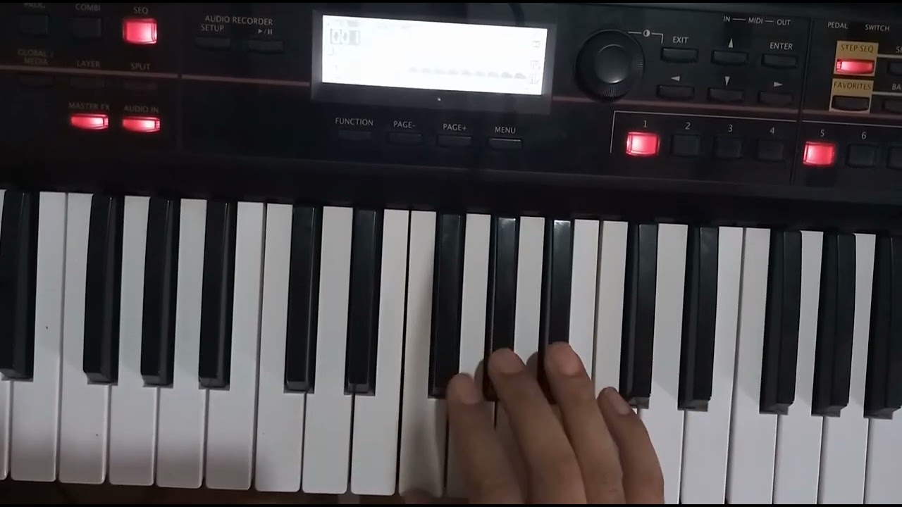 COMO TOCAR EL GALLO Y LA PATA EN ORGANO O TECLADO