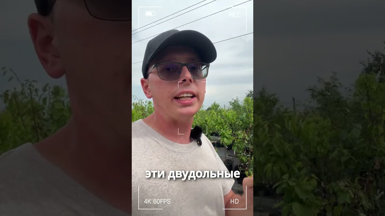 Ошибка при использовании гербицидов 