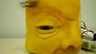 Animatronic eye test 1