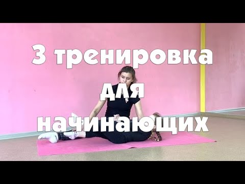 Художественная гимнастика для начинающих: 3 тренировка 1 этапа