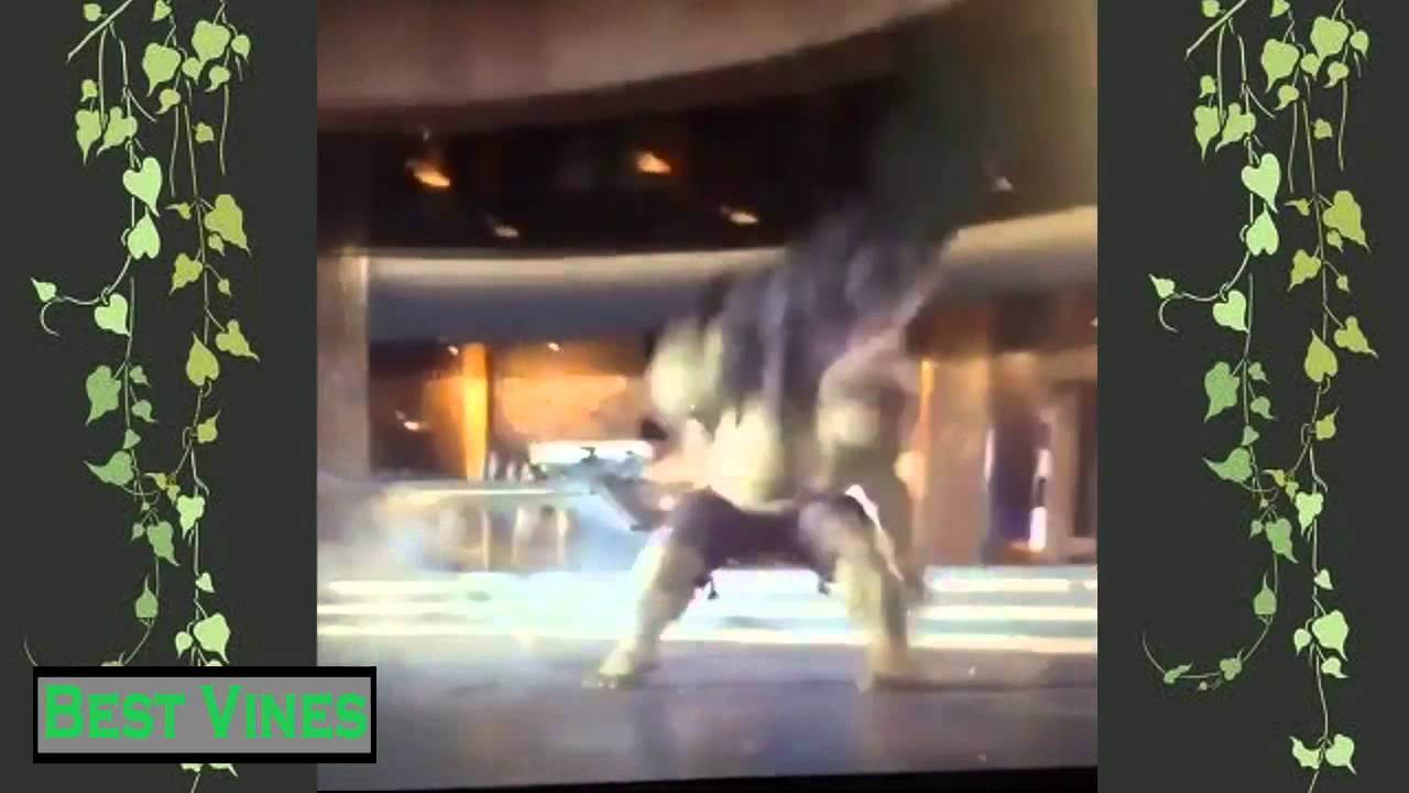 The Best NEW Vines   November 2013