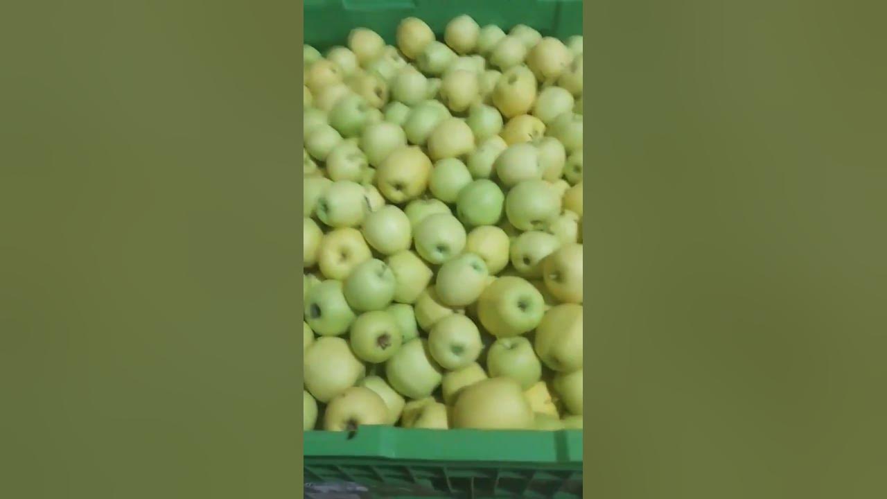 яблочки - YouTube