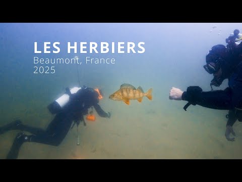 Plongée à BEAUMONT SUR OISE - France, 2025