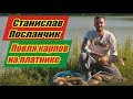 Ловля карпов на платном водоеме со Станиславом Посланчиком. Фидер. Карп.