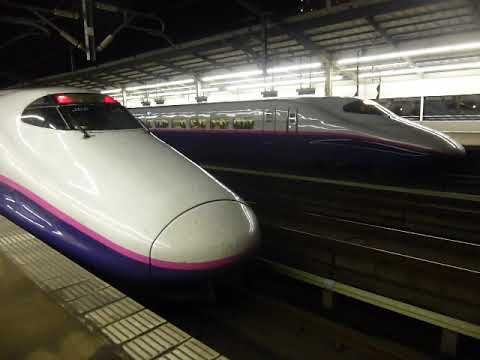 【Ｅ3系2000番台】東北新幹線 159Ｂ つばさ159号山形行き・やまびこ159号仙台行き到着＠宇都宮 2019年7月【Ｅ2系1000番台】