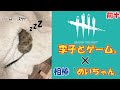 【DBD実況 9】相棒&rdquo;めいちゃん&rdquo;と共に!! 前半【李子】