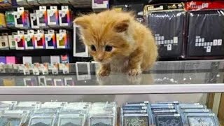 Employee Of The Month Bean