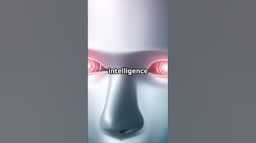 AI Glitch Shows Why We Shouldn